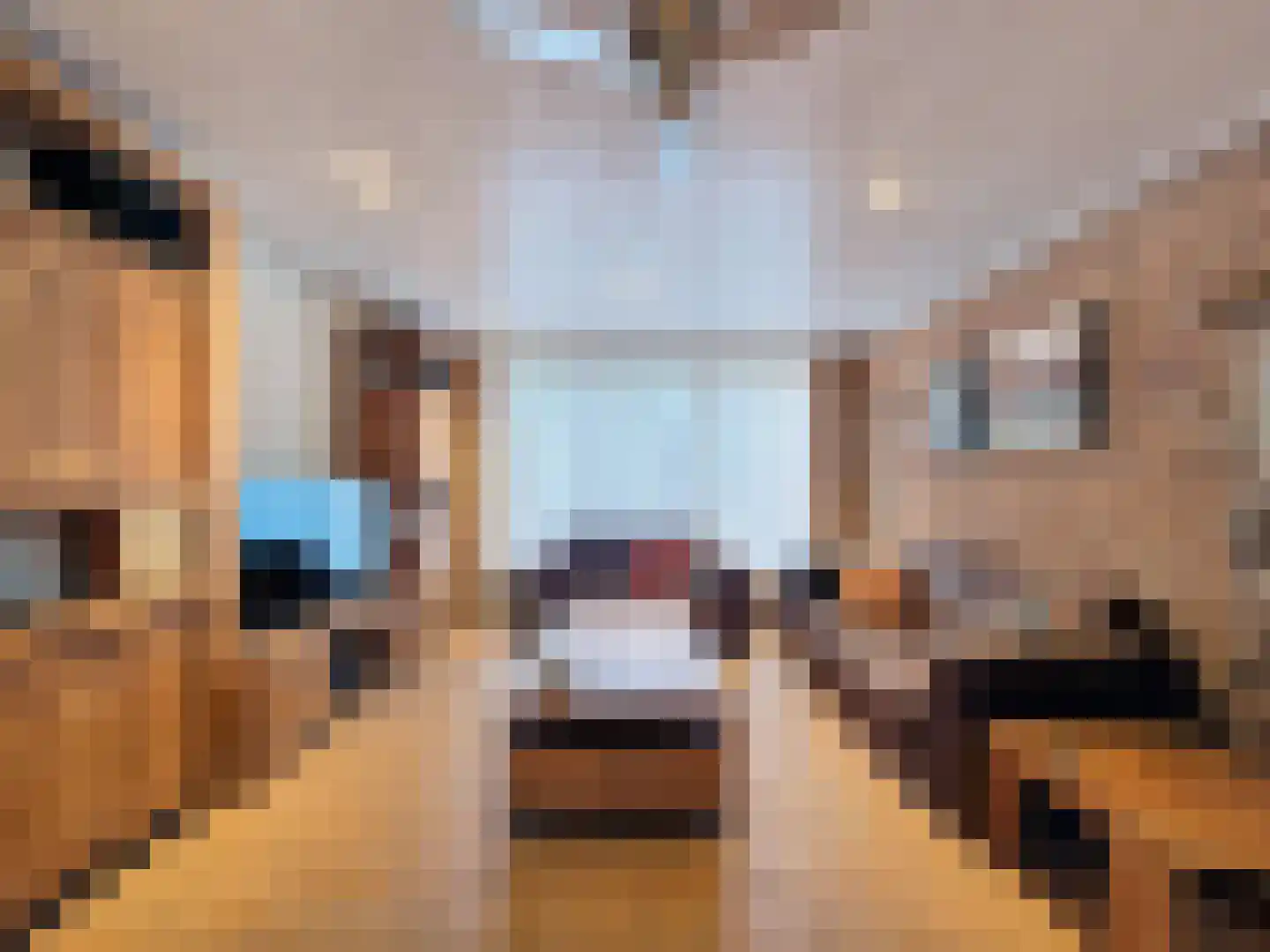 Oude Kerkstraat 12 Aardenburg thumbnail 6