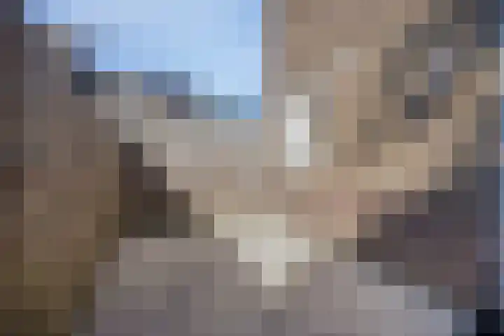 Oude Kerkstraat 13 Maastricht thumbnail 28