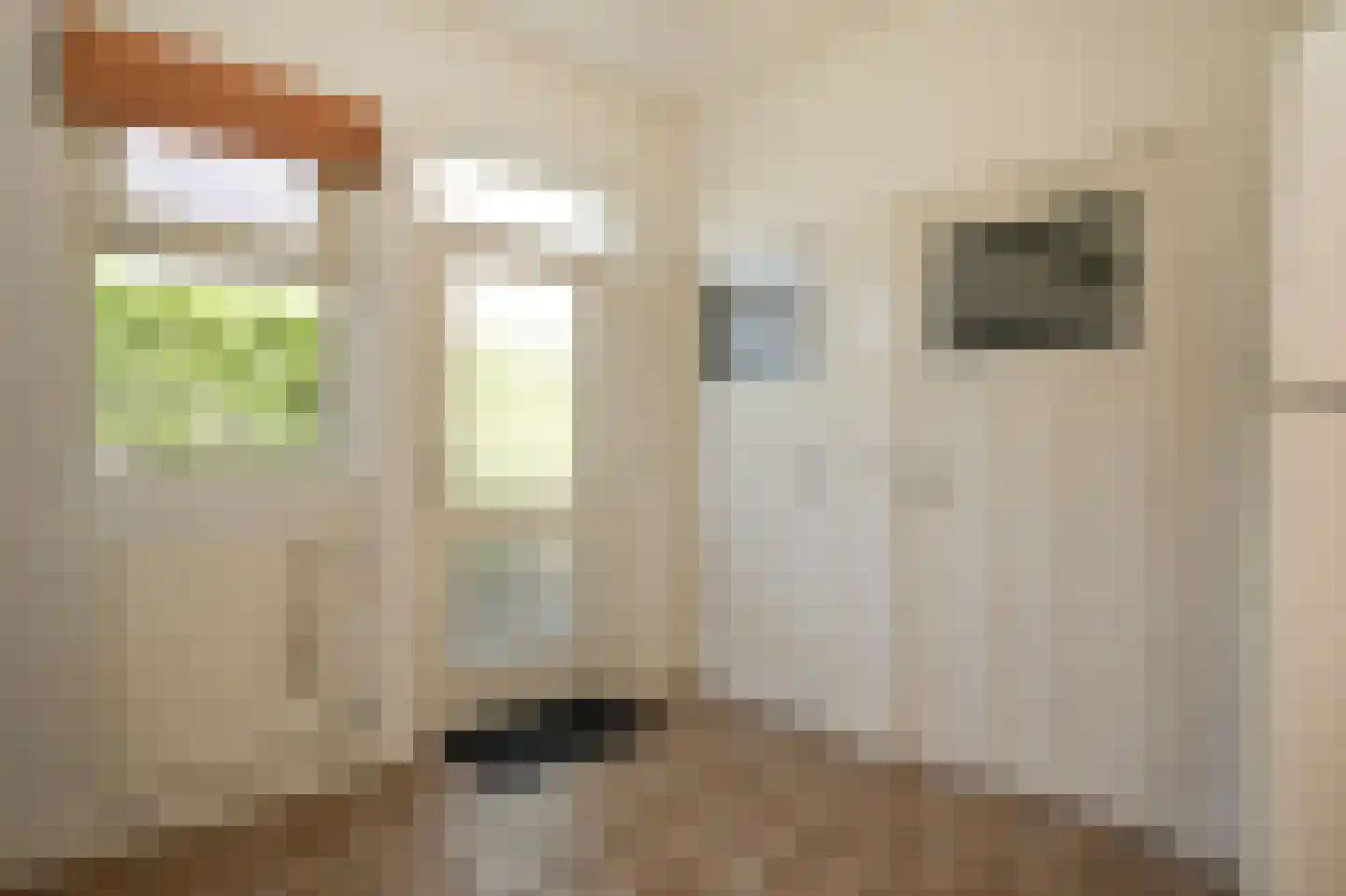 Oude Kerkstraat 13 Wijk en Aalburg thumbnail 16