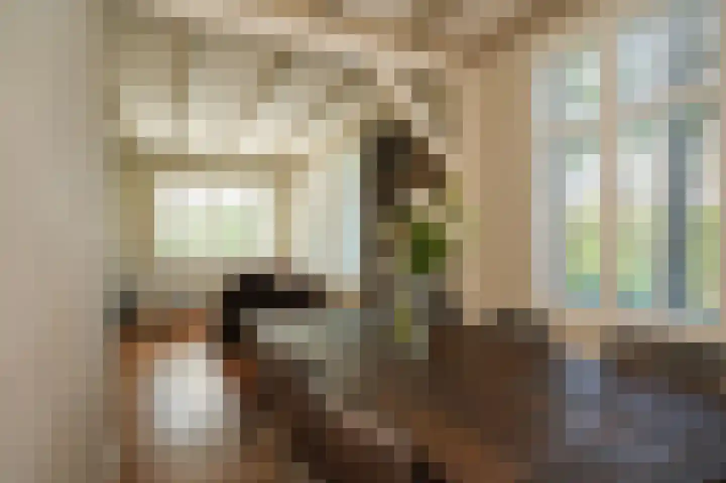 Oude Kerkstraat 13 Wijk en Aalburg thumbnail 4