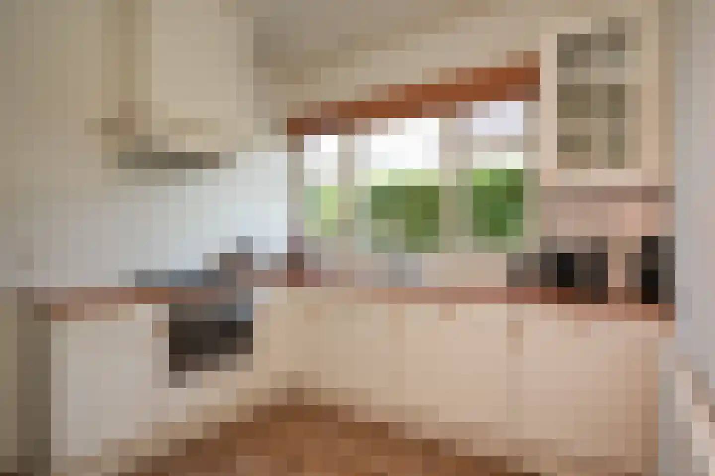 Oude Kerkstraat 13 Wijk en Aalburg thumbnail 5