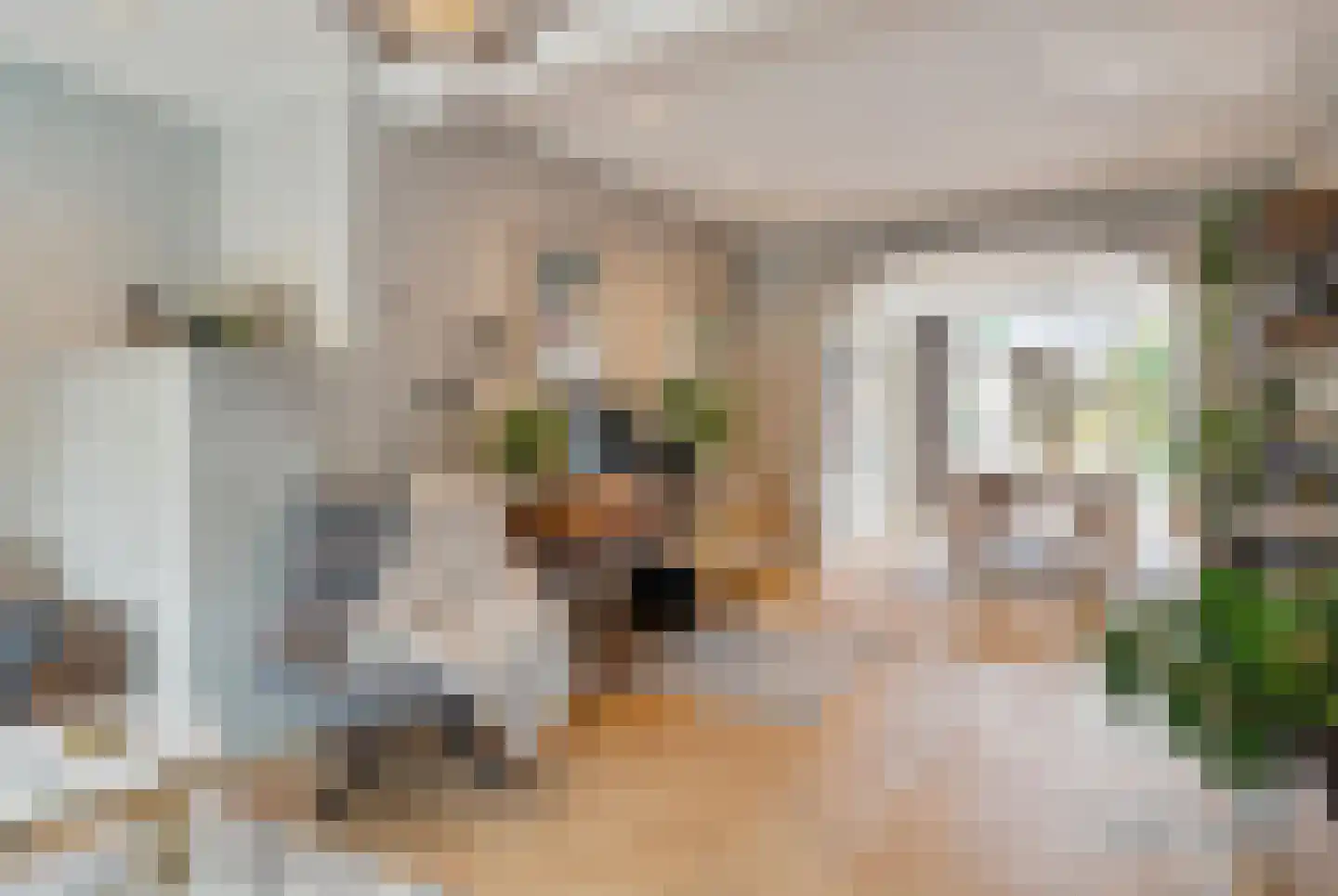 Oude Kerkstraat 14 Aardenburg thumbnail 12