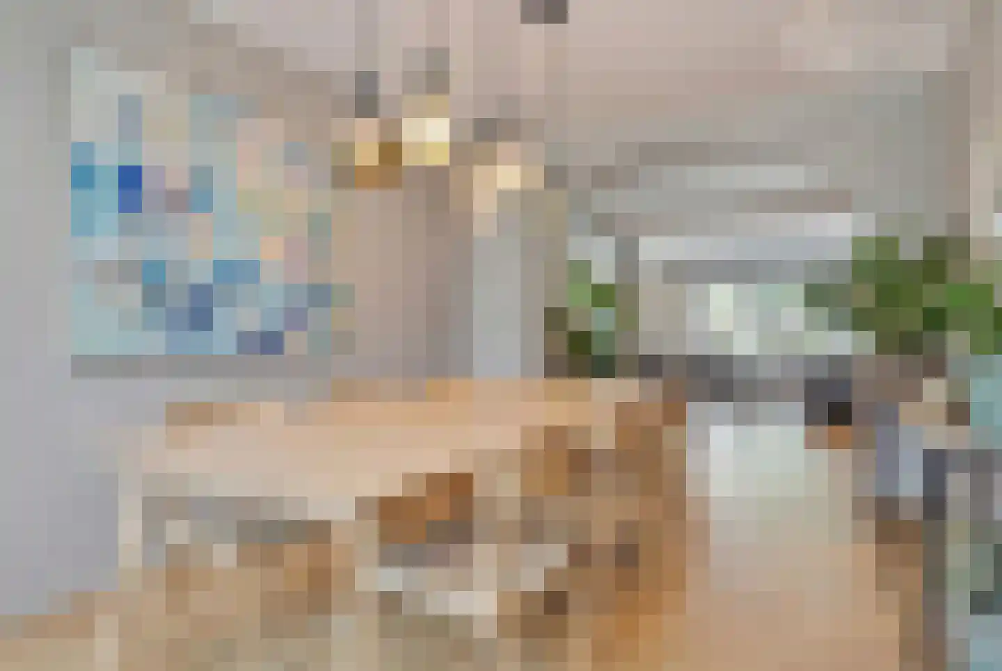 Oude Kerkstraat 14 Aardenburg thumbnail 16