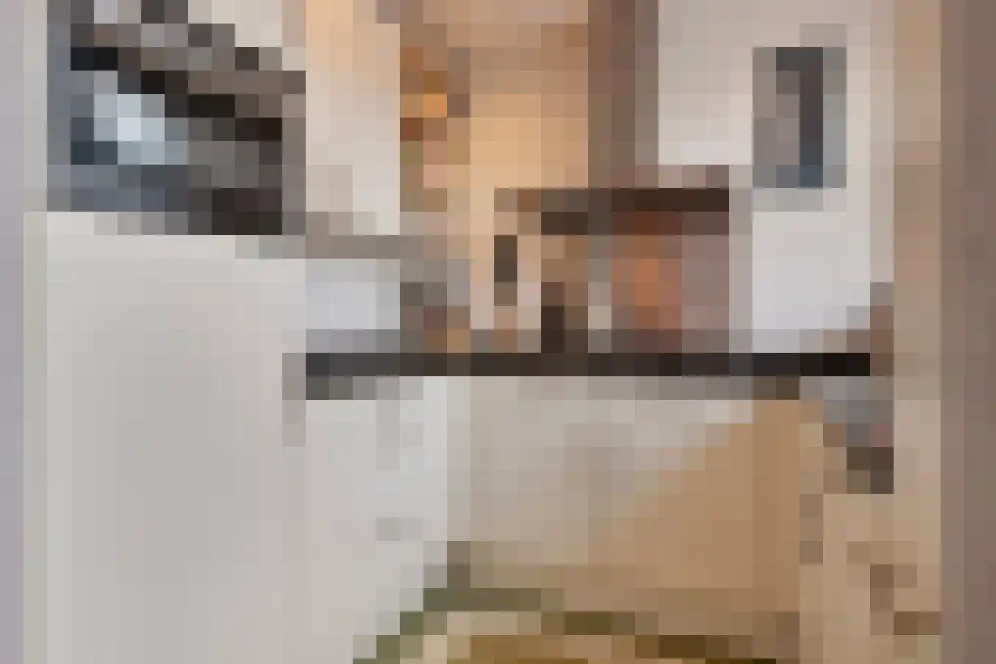 Oude Kerkstraat 14 Aardenburg thumbnail 17