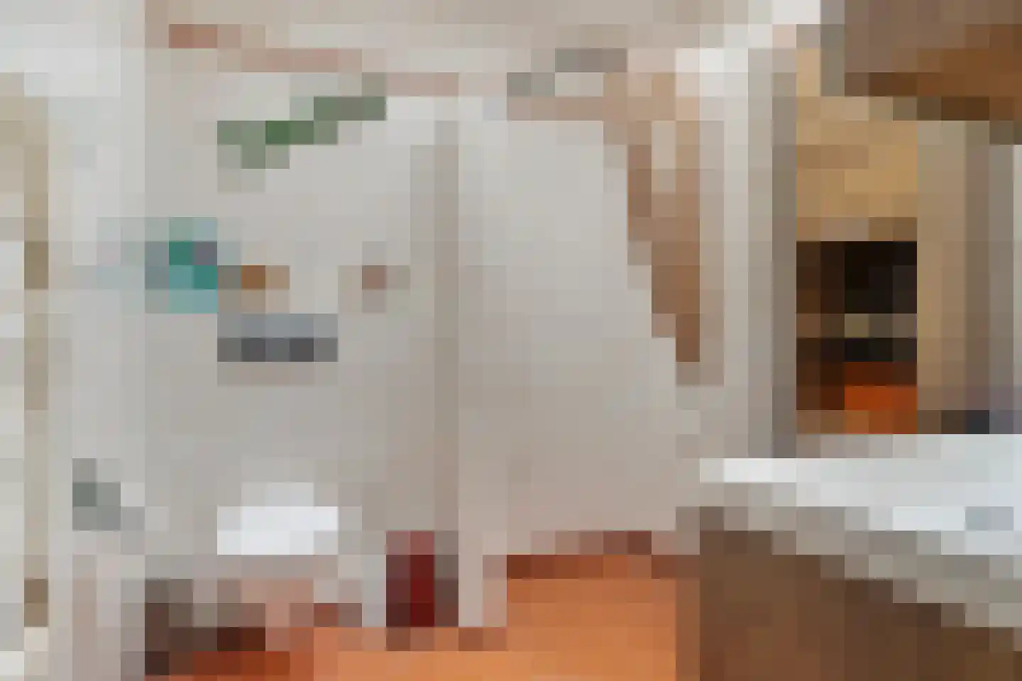 Oude Kerkstraat 14 Aardenburg thumbnail 20
