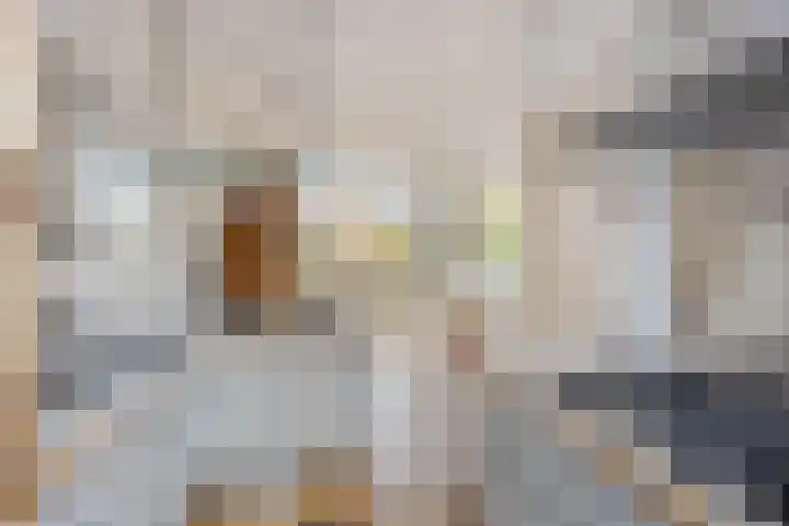 Oude Kerkstraat 14 Borne thumbnail 23