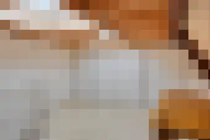 Oude Kerkstraat 14 Borne thumbnail 39