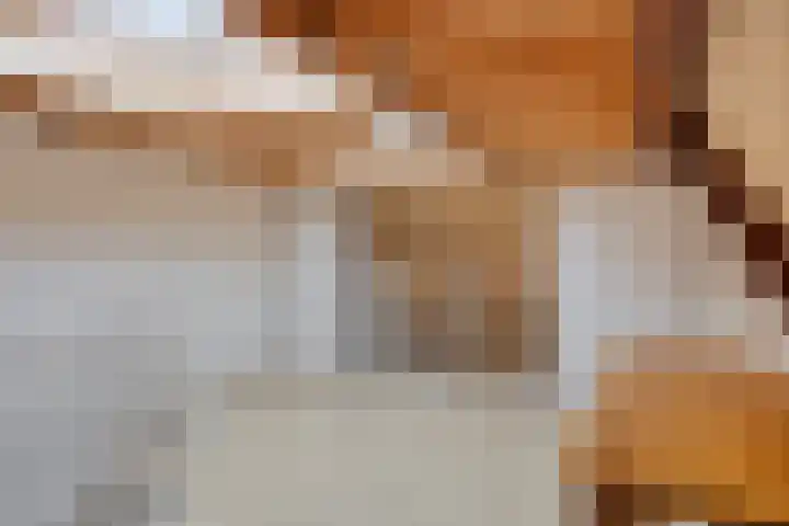 Oude Kerkstraat 14 Borne thumbnail 40