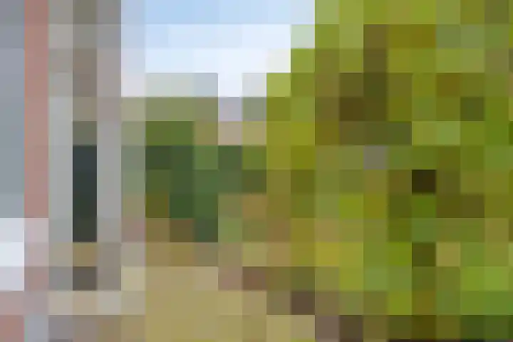 Oude Kerkstraat 14 Borne thumbnail 43