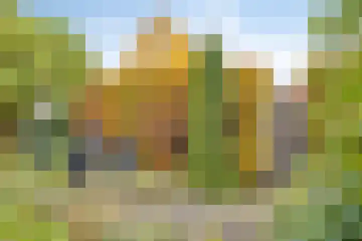 Oude Kerkstraat 14 Borne thumbnail 44