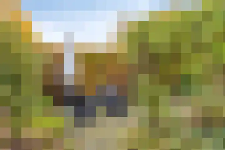 Oude Kerkstraat 14 Borne thumbnail 45