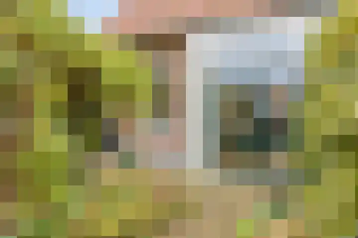 Oude Kerkstraat 14 Borne thumbnail 46