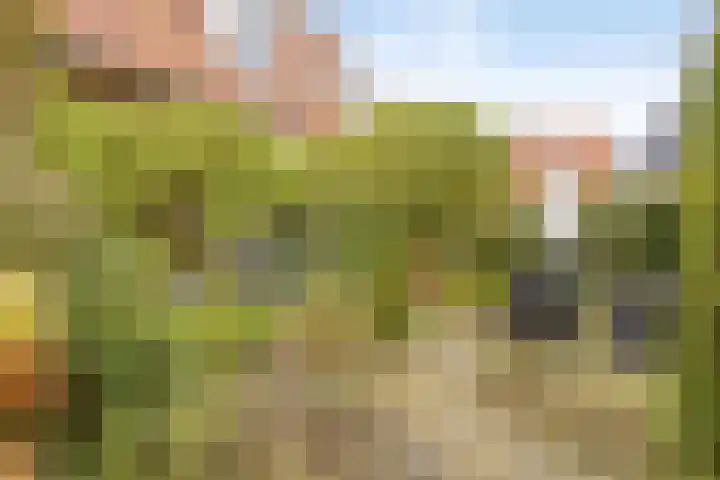 Oude Kerkstraat 14 Borne thumbnail 47