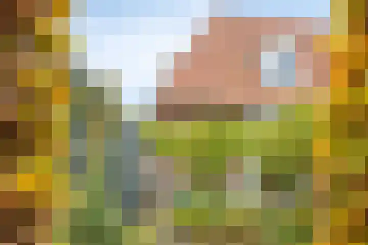 Oude Kerkstraat 14 Borne thumbnail 48