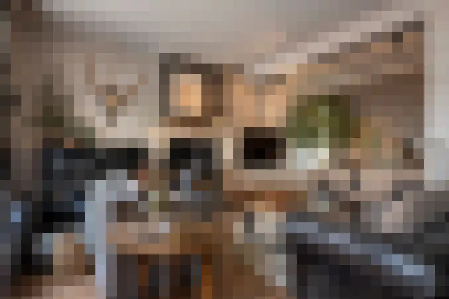 Oude Kerkstraat 15 A Papenhoven thumbnail 11