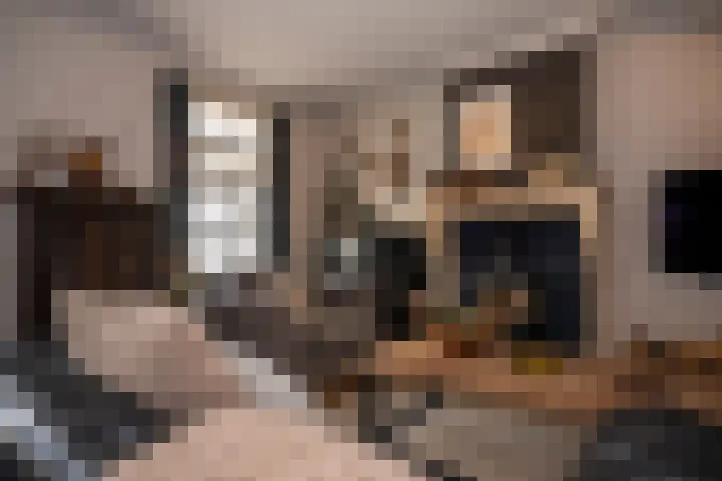 Oude Kerkstraat 15 A Papenhoven thumbnail 12
