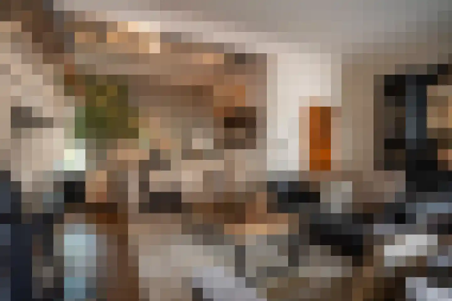 Oude Kerkstraat 15 A Papenhoven thumbnail 16