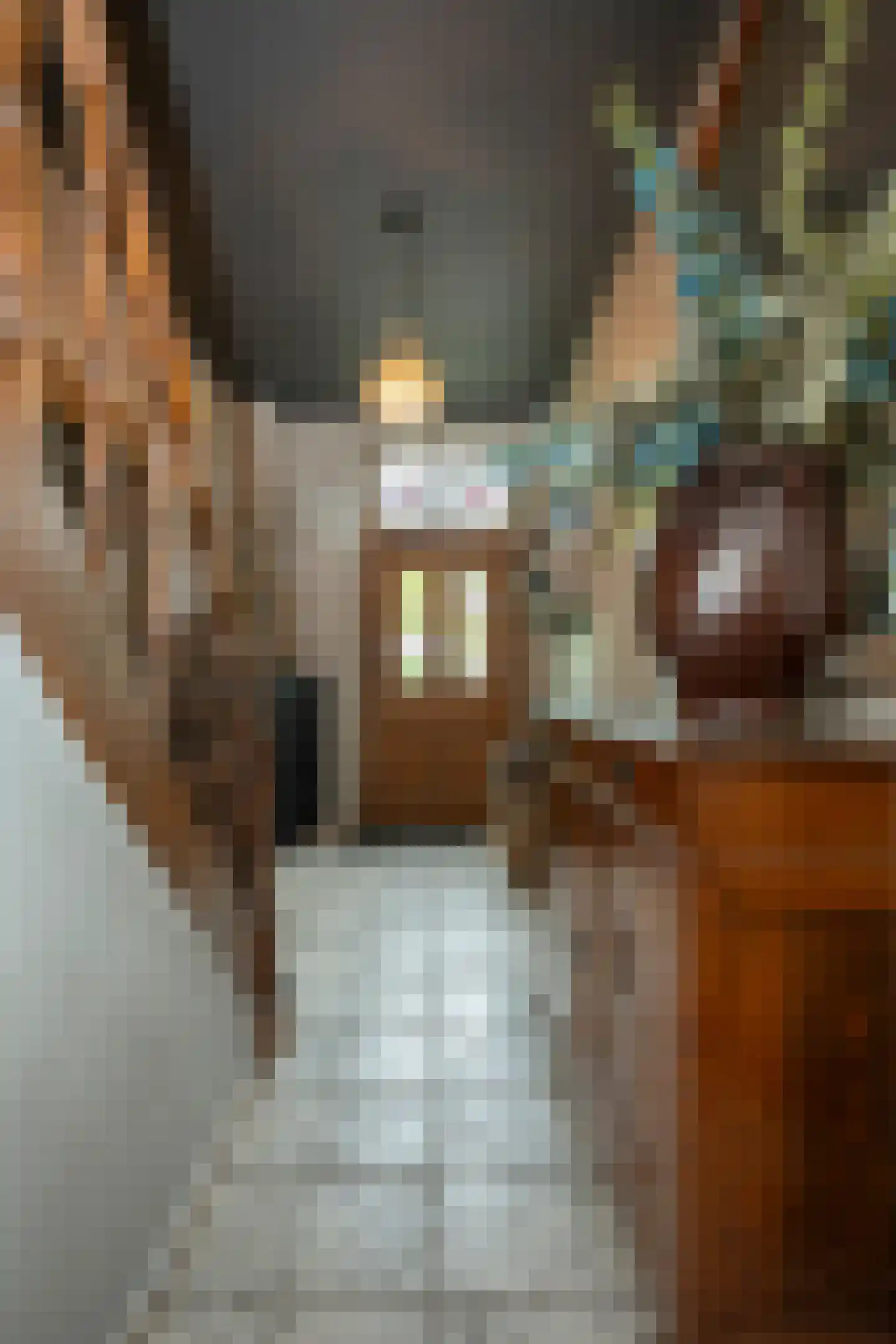 Oude Kerkstraat 15 A Papenhoven thumbnail 23