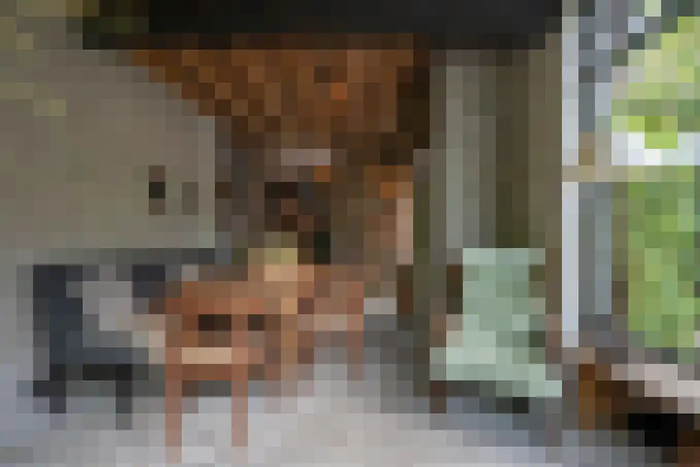 Oude Kerkstraat 15 A Papenhoven thumbnail 25