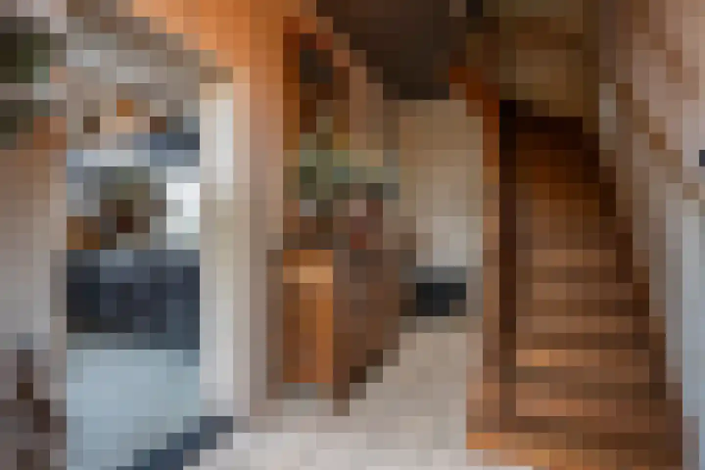 Oude Kerkstraat 15 A Papenhoven thumbnail 28