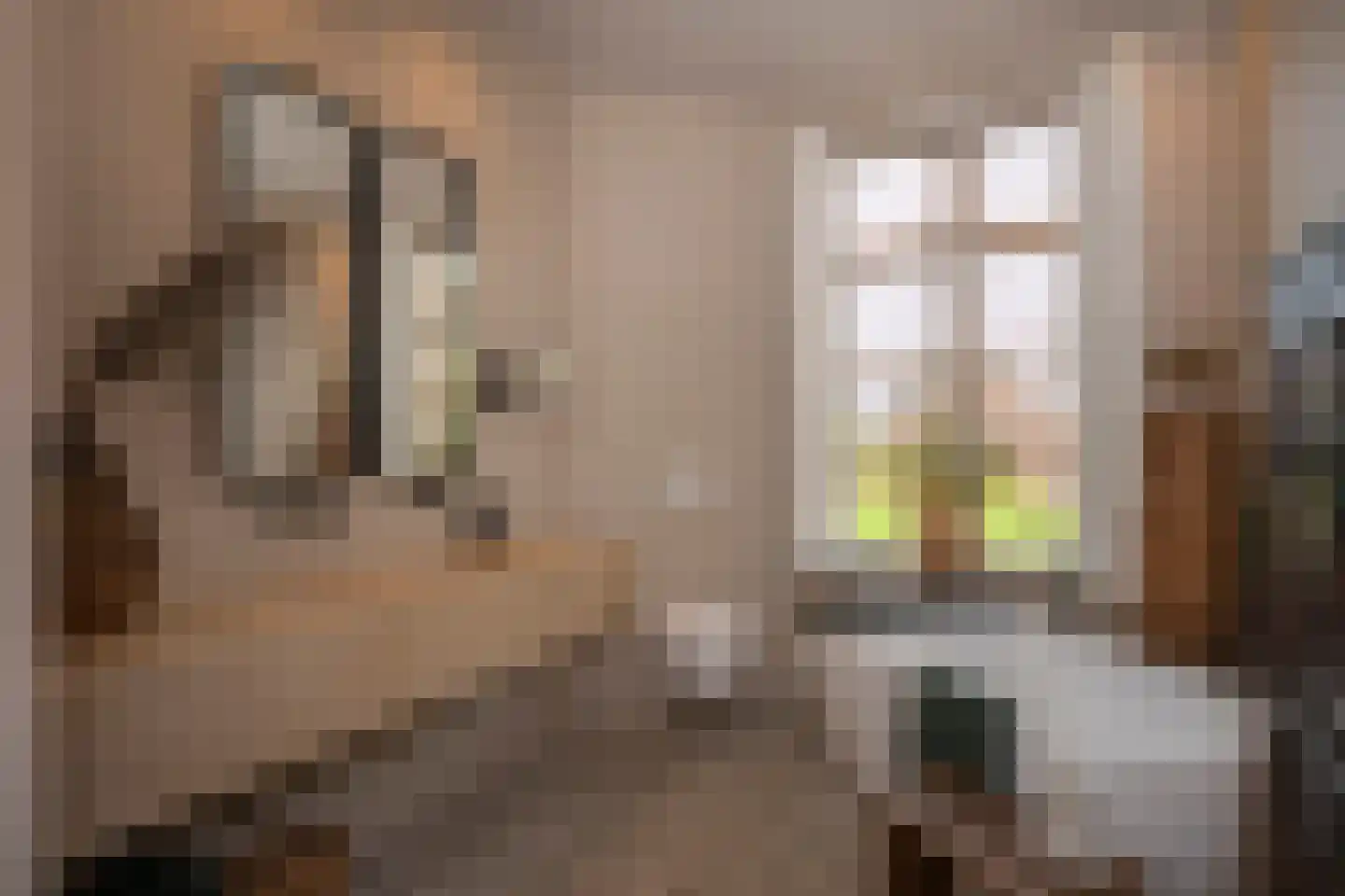 Oude Kerkstraat 15 A Papenhoven thumbnail 35