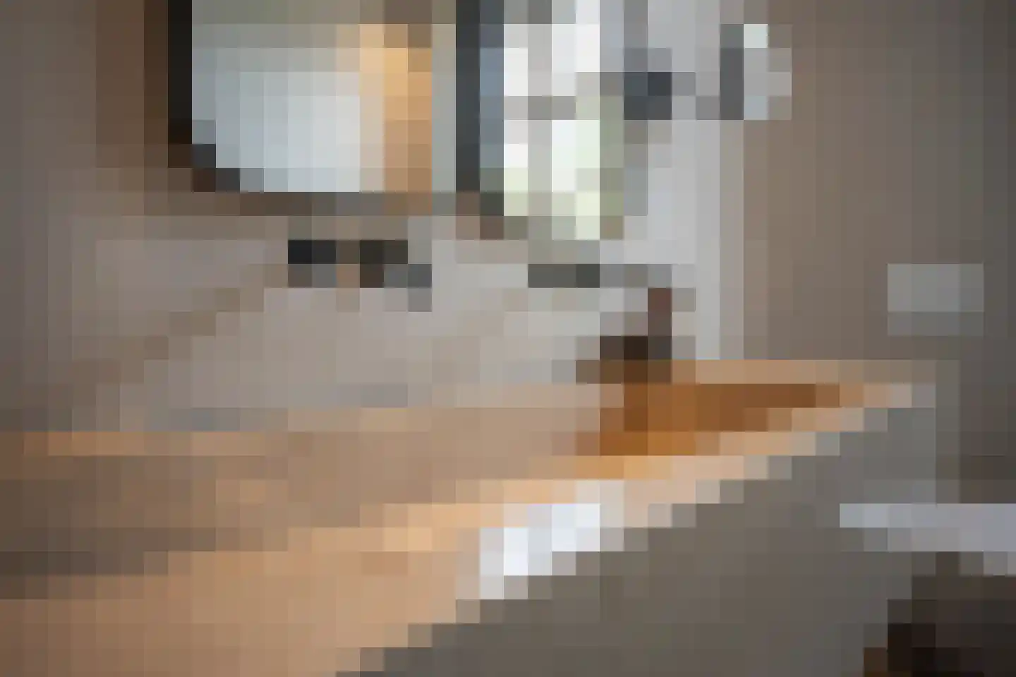 Oude Kerkstraat 15 A Papenhoven thumbnail 37