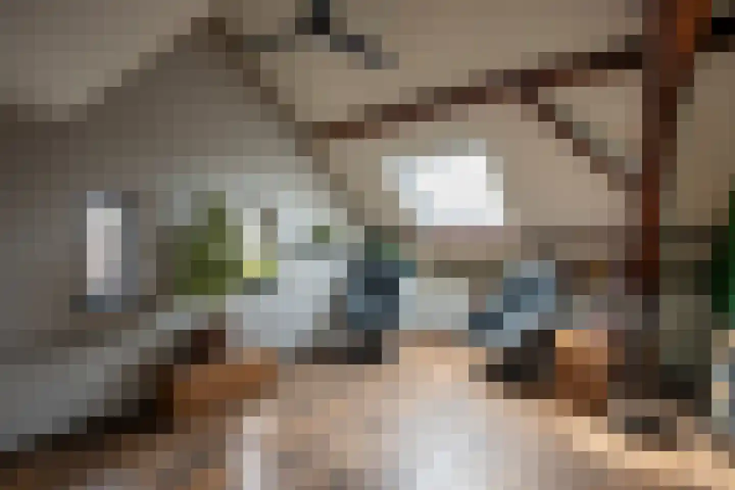 Oude Kerkstraat 15 A Papenhoven thumbnail 43