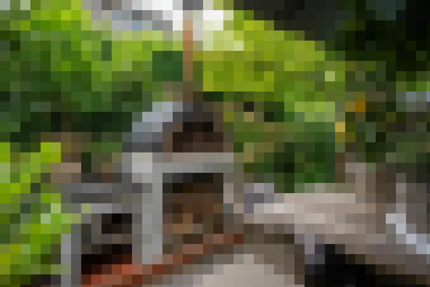 Oude Kerkstraat 15 A Papenhoven thumbnail 49