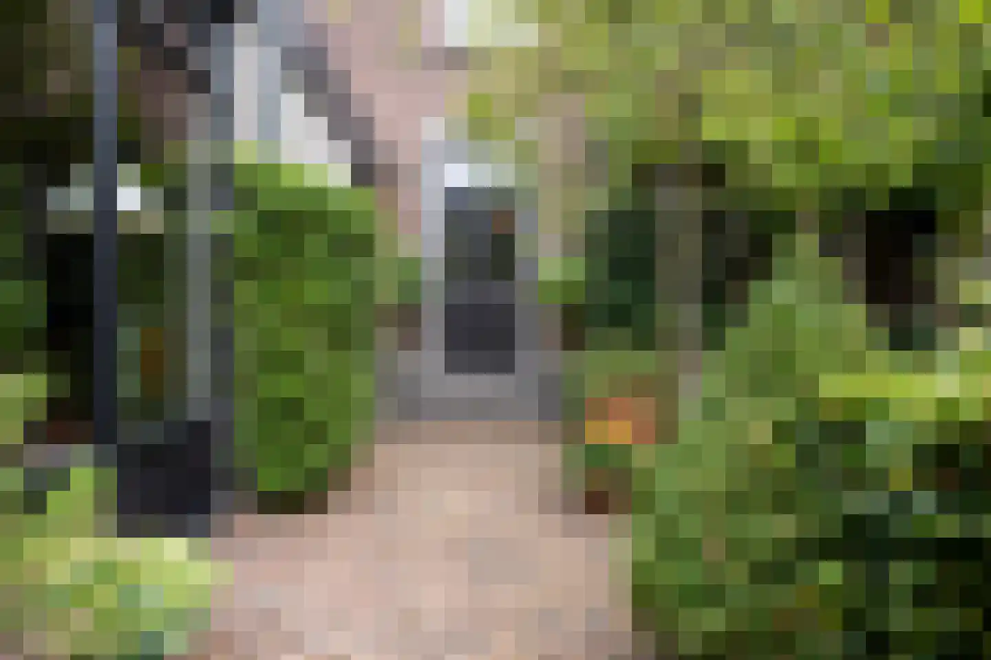 Oude Kerkstraat 15 A Papenhoven thumbnail 8