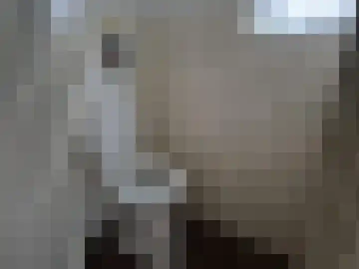 Oude Kerkstraat 16 Duizel thumbnail 7