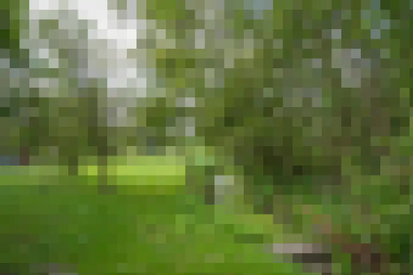 Oude Kerkstraat 17 Dussen thumbnail 4