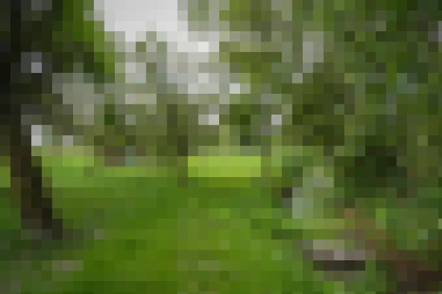 Oude Kerkstraat 17 Dussen thumbnail 41