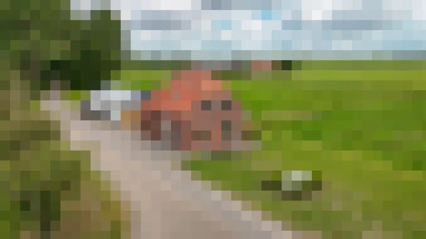 Oude Kerkstraat 17 Dussen thumbnail 42