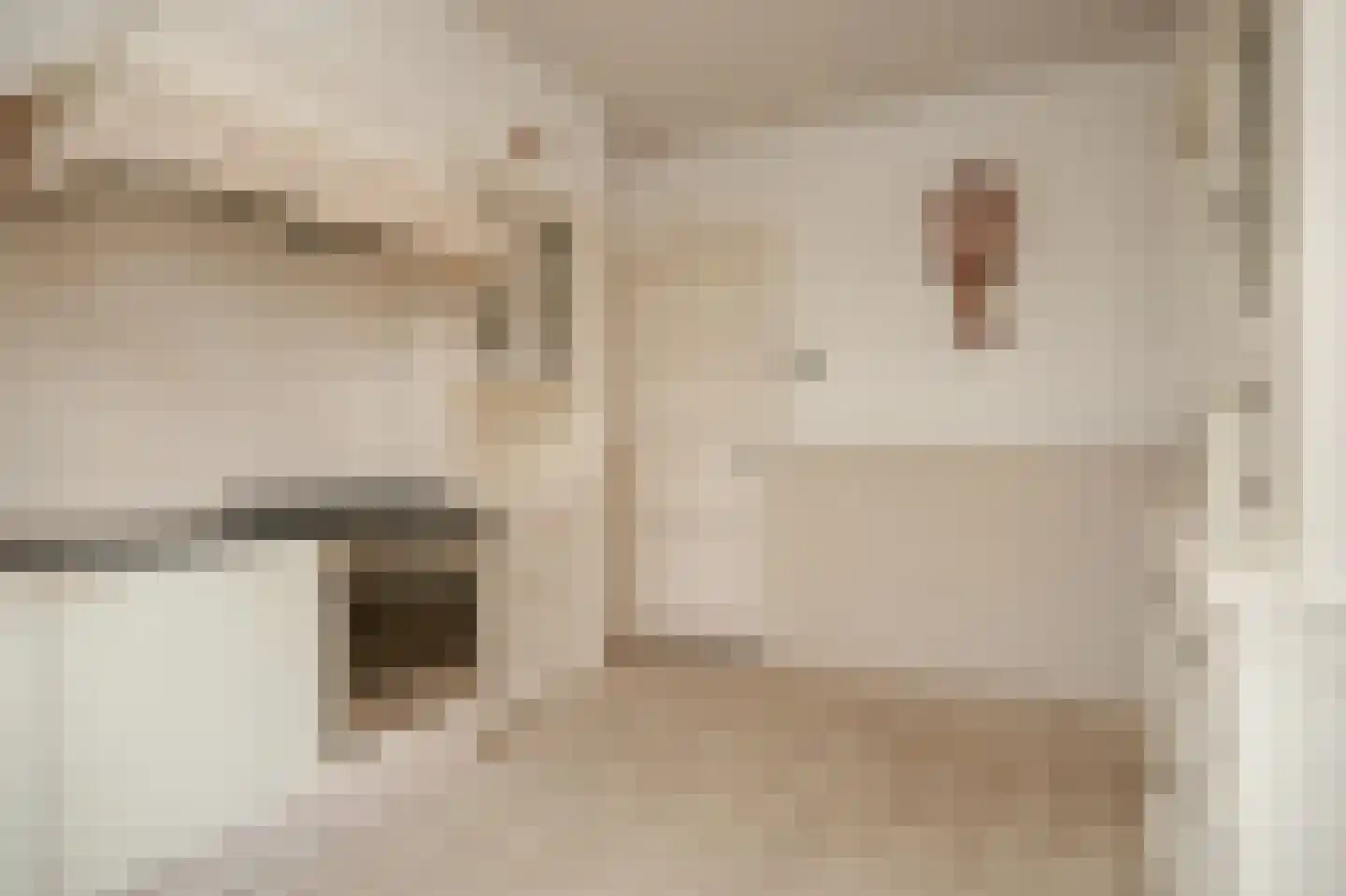 Oude Kerkstraat 17 Dussen thumbnail 7