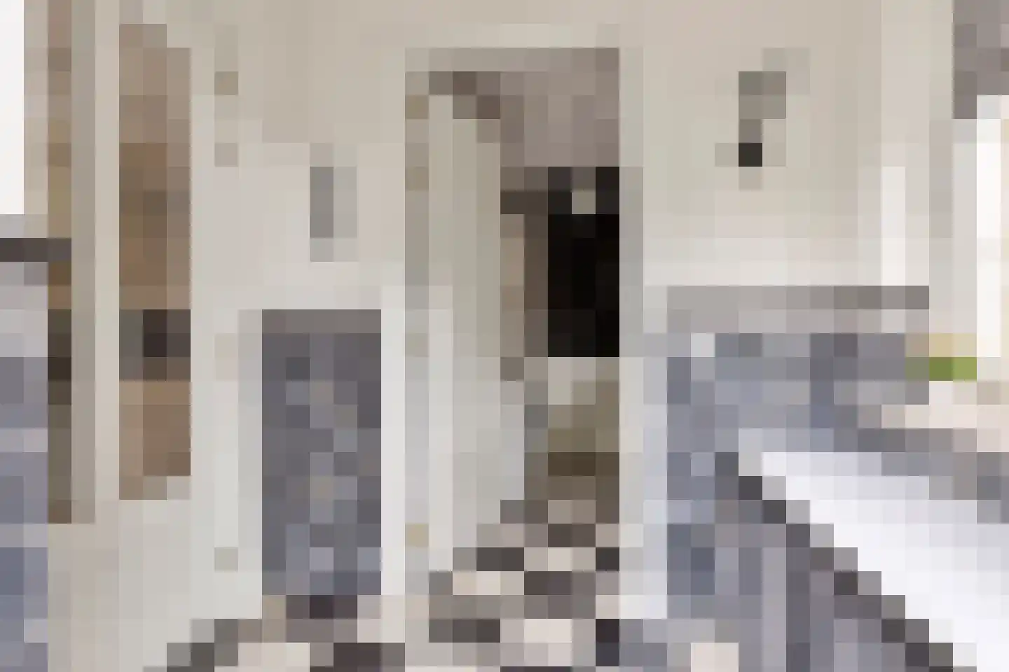 Oude Kerkstraat 2 Veldhoven thumbnail 18
