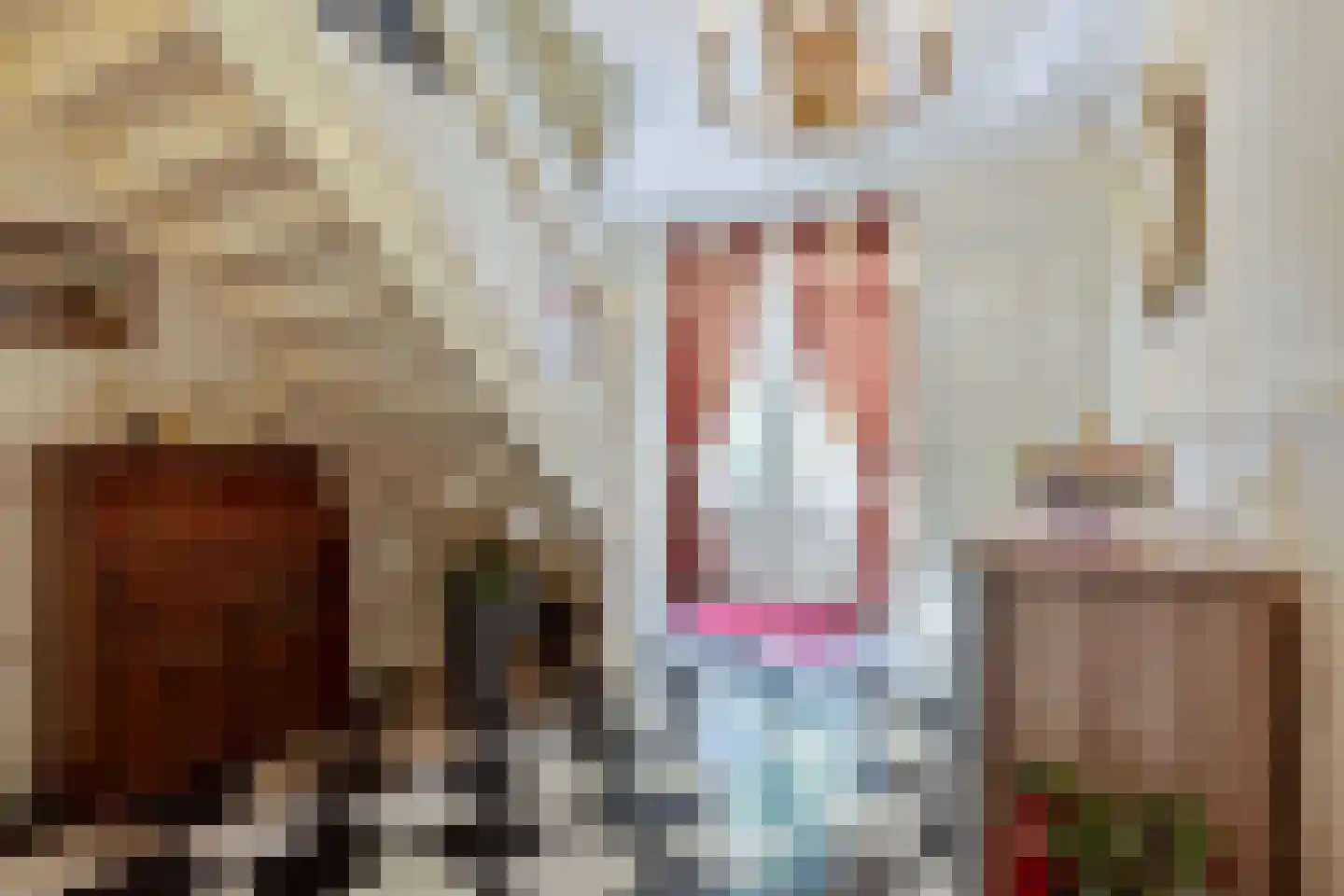 Oude Kerkstraat 2 Veldhoven thumbnail 21