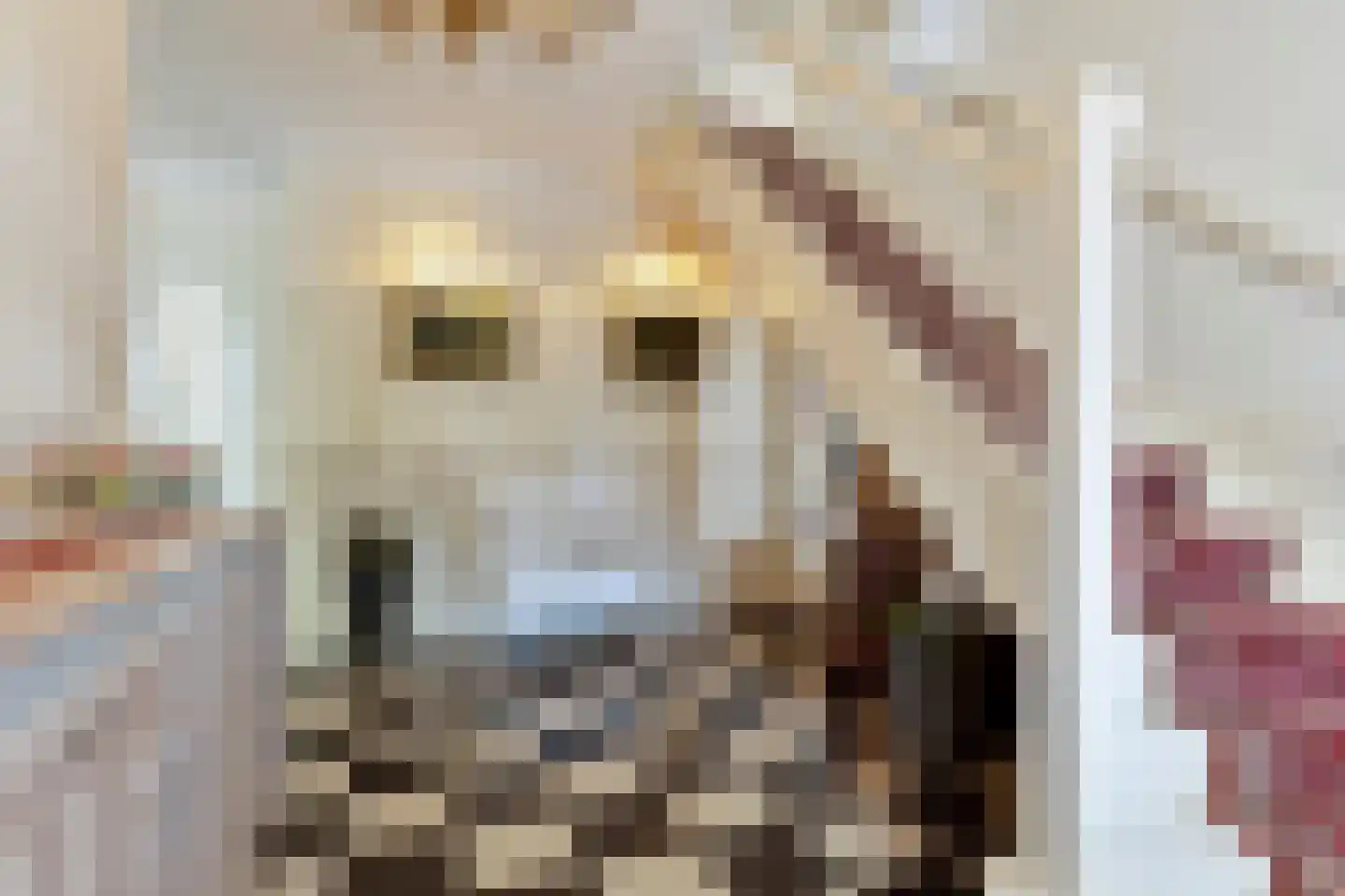 Oude Kerkstraat 2 Veldhoven thumbnail 23