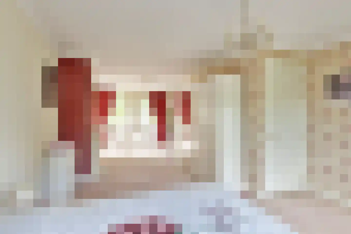 Oude Kerkstraat 2 Veldhoven thumbnail 28