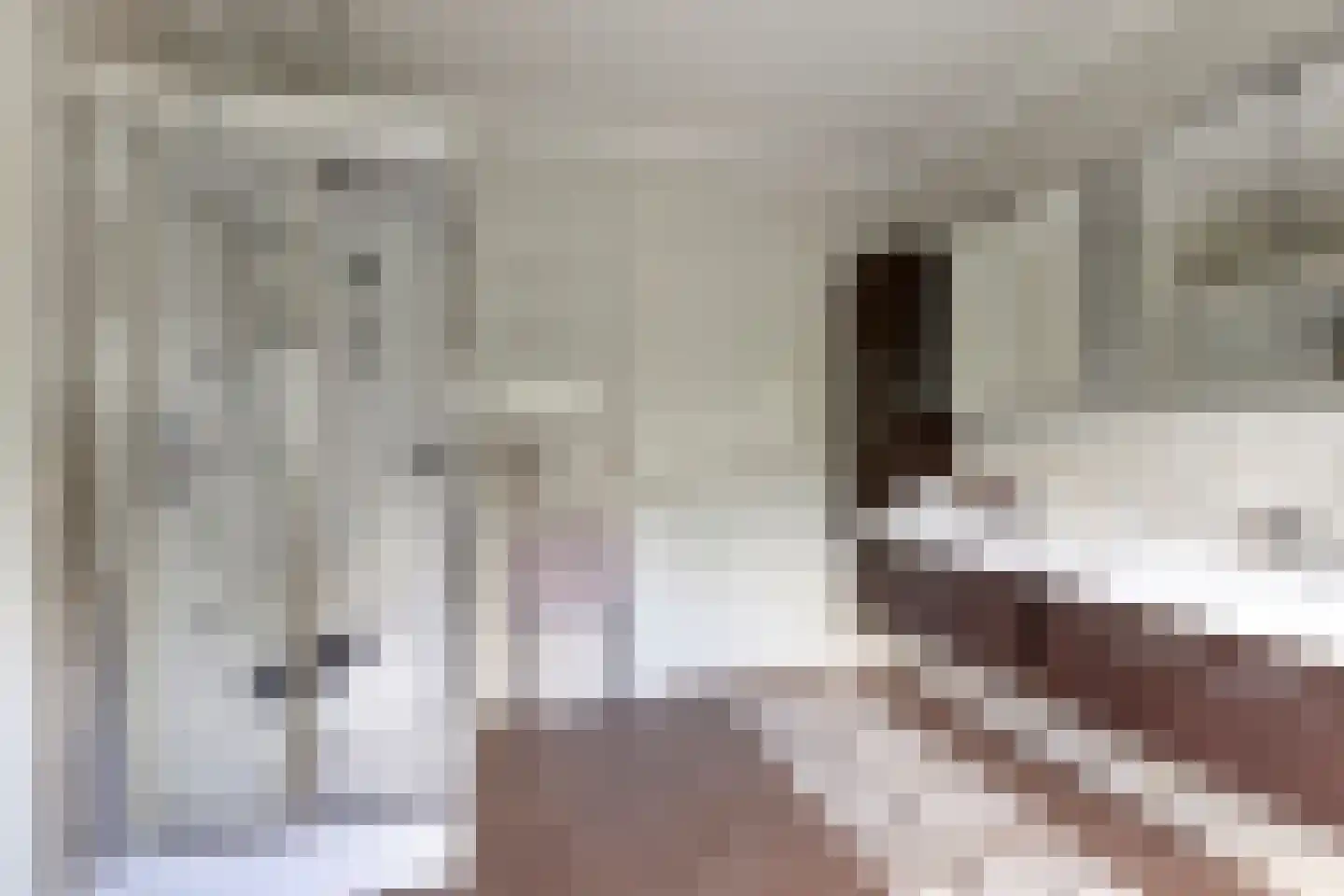 Oude Kerkstraat 2 Veldhoven thumbnail 33