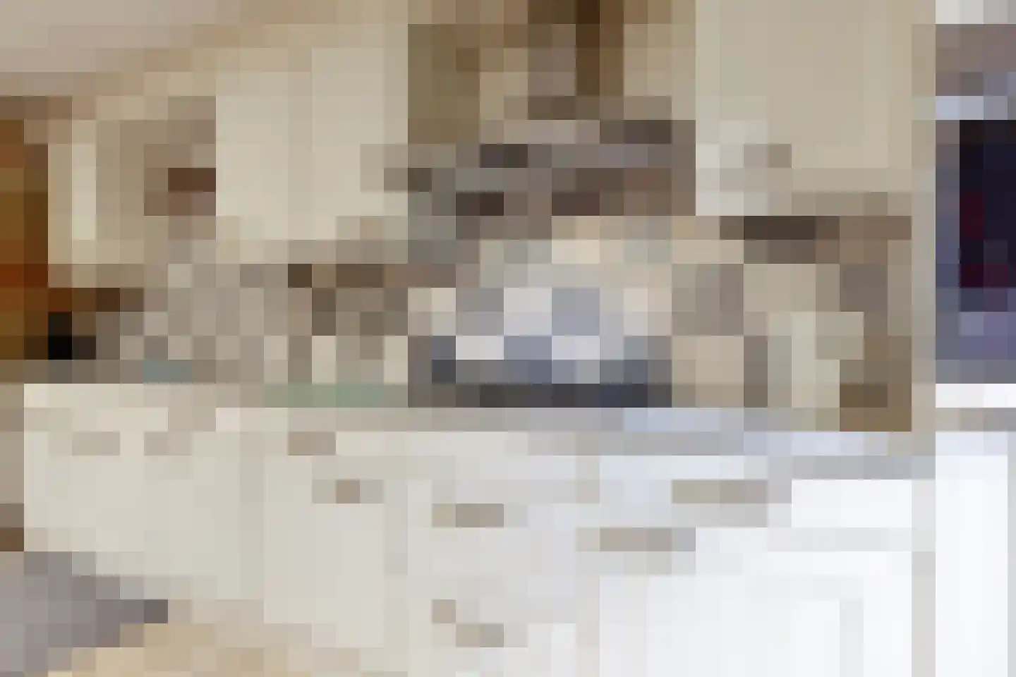 Oude Kerkstraat 2 Veldhoven thumbnail 50