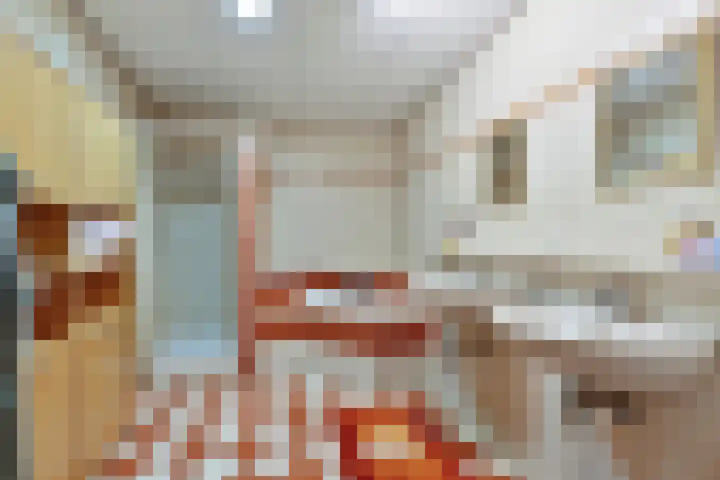 Oude Kerkstraat 2 Veldhoven thumbnail 53