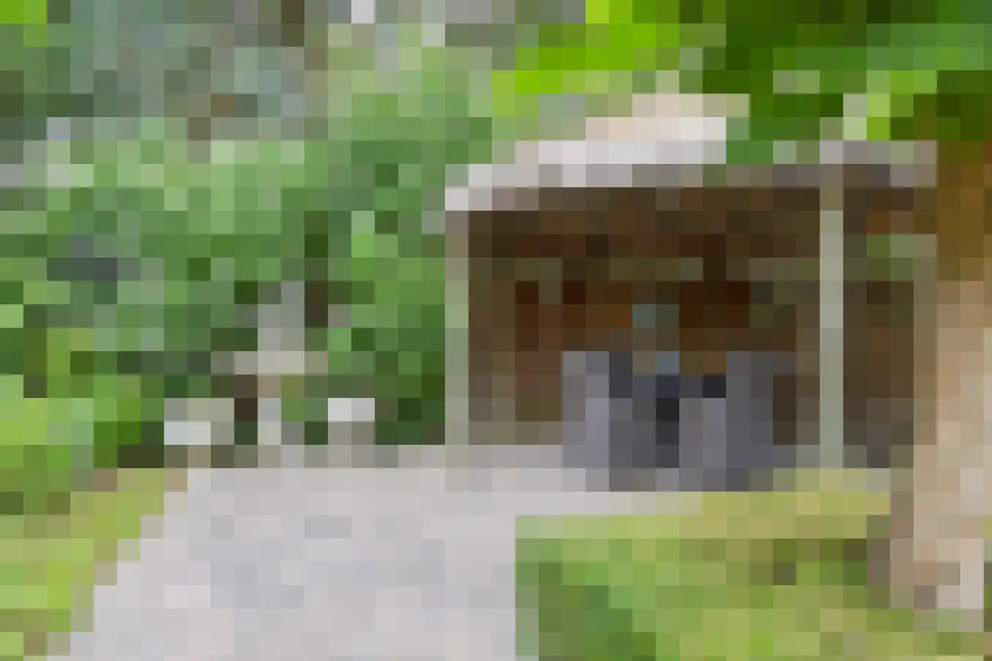 Oude Kerkstraat 2 Veldhoven thumbnail 58