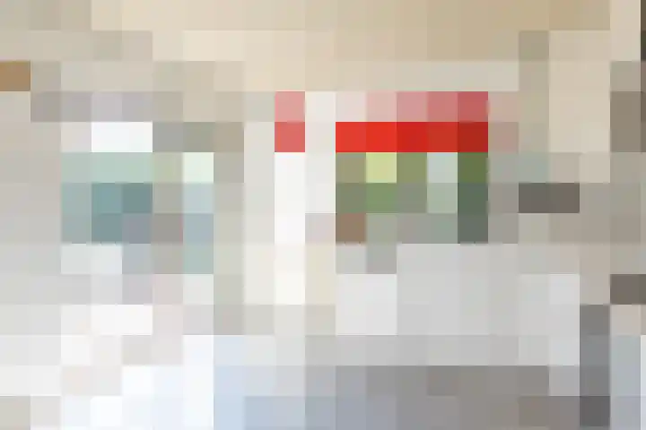 Oude Kerkstraat 20 Waalre thumbnail 11