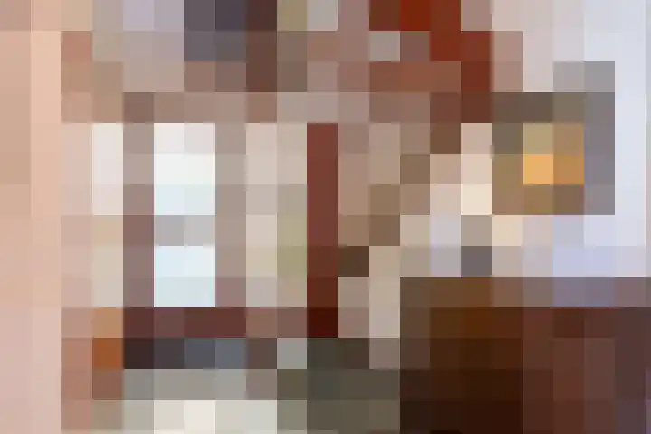 Oude Kerkstraat 20 Waalre thumbnail 12