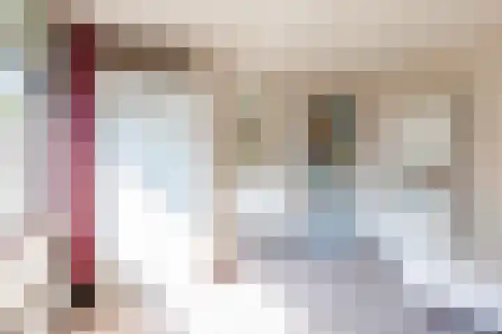Oude Kerkstraat 20 Waalre thumbnail 18