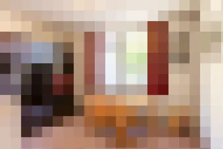 Oude Kerkstraat 20 Waalre thumbnail 22