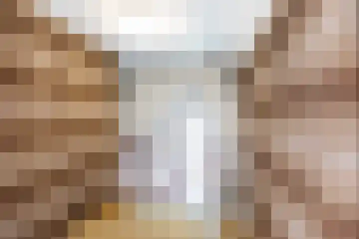 Oude Kerkstraat 20 Waalre thumbnail 23