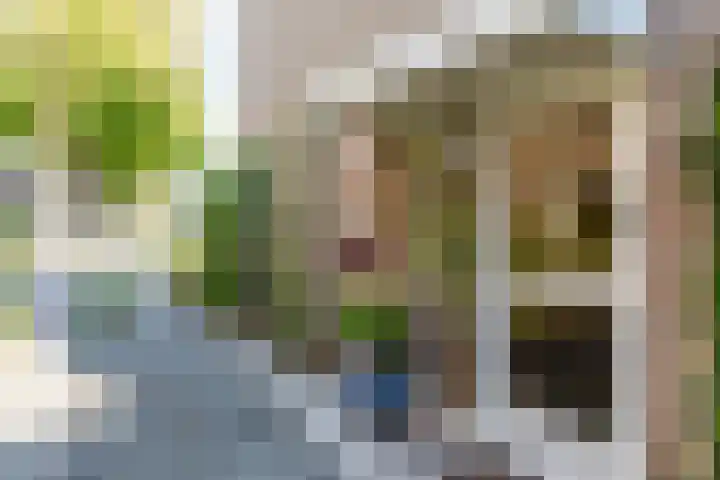 Oude Kerkstraat 20 Waalre thumbnail 26