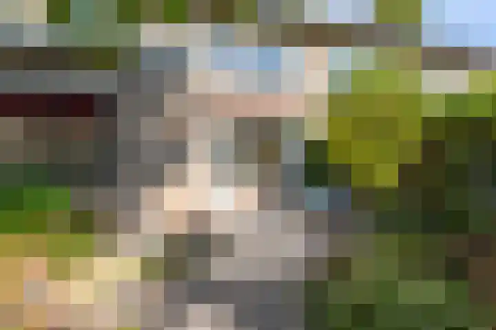 Oude Kerkstraat 20 Waalre thumbnail 27