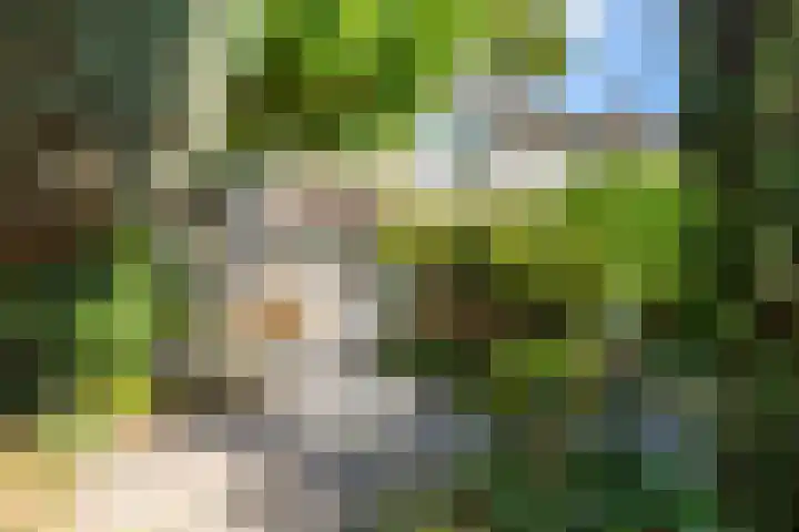 Oude Kerkstraat 20 Waalre thumbnail 28
